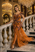 Amber Illusion Structured Gown