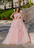 Blush Appliqué Couture